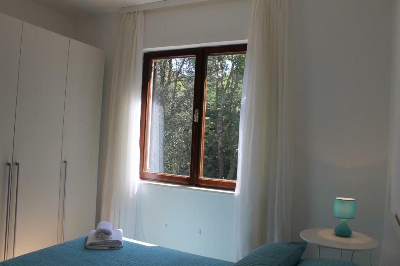 Sea Shell Apartment